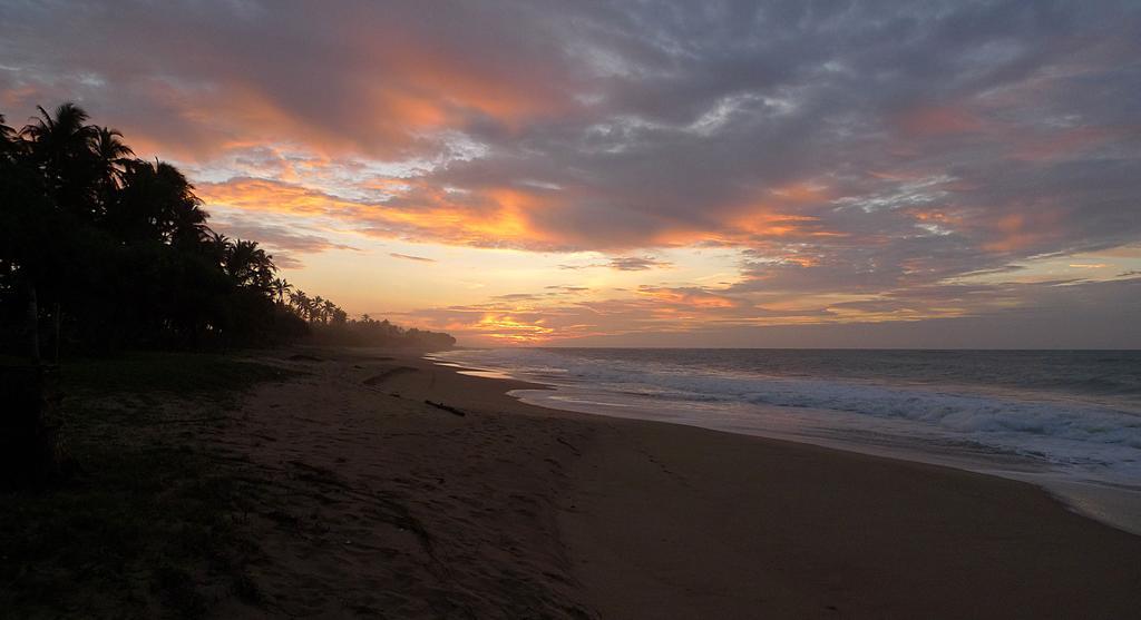 Hotel Seven Turtles Tangalle Exterior foto